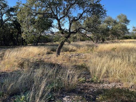 Tract 1 Rare Eagle Drive Fredericksburg TX 78624
