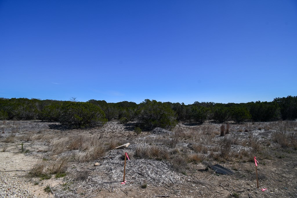 699 Cool Creek Road Camp Verde TX 78010