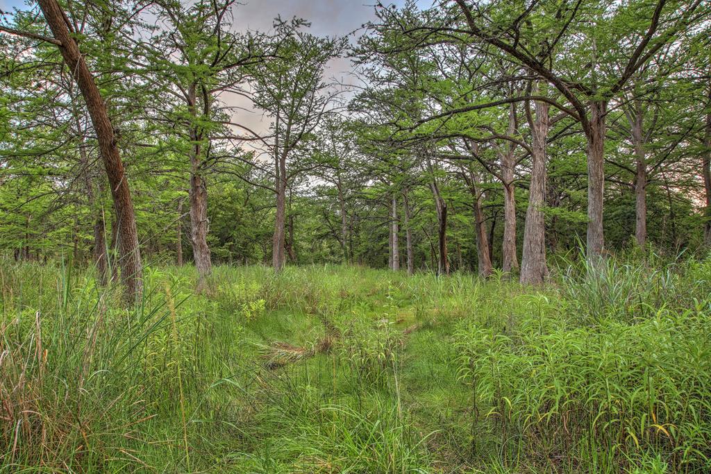 270 Stablewood Springs Drive Ingram TX 78025