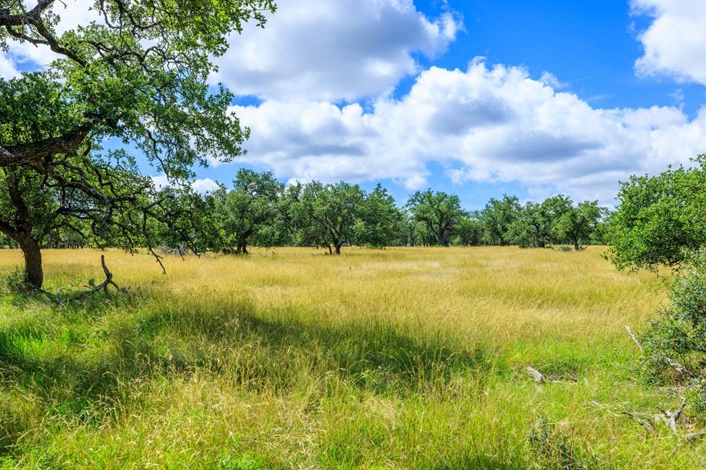 Lot 94 Stock Pond Drive Harper TX 78631