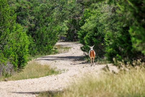 Lot 94 Stock Pond Drive Harper TX 78631