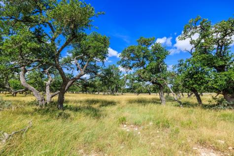 Lot 94 Stock Pond Drive Harper TX 78631