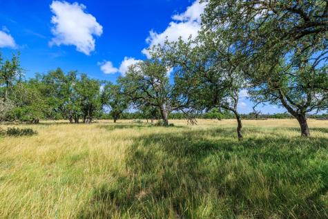 Lot 94 Stock Pond Drive Harper TX 78631