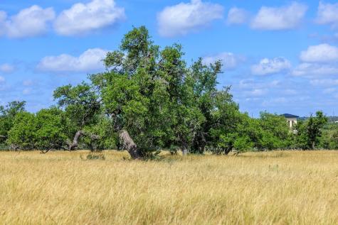 Lot 94 Stock Pond Drive Harper TX 78631