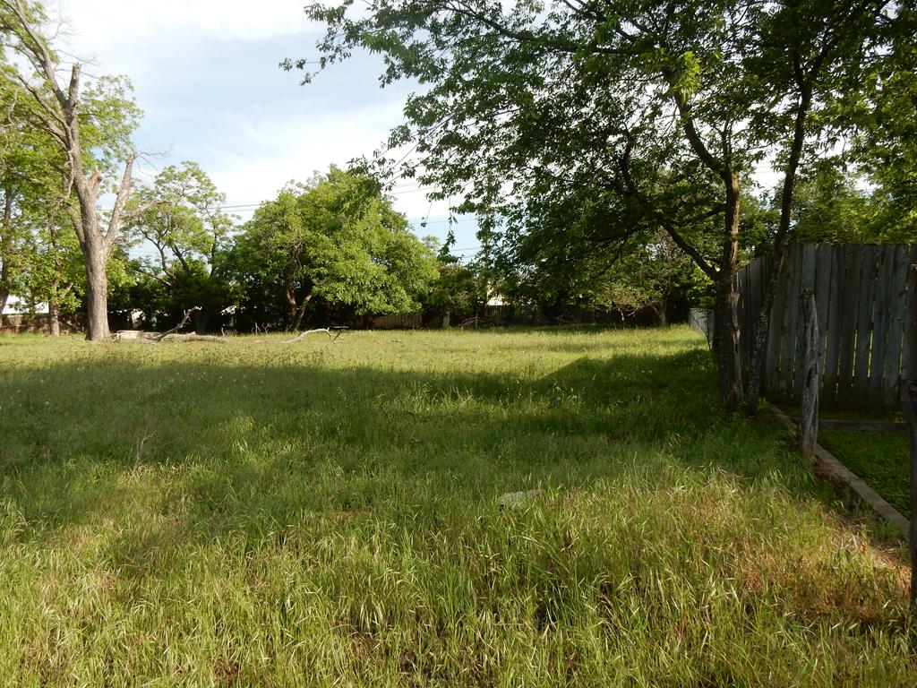 105 W Walch Avenue Fredericksburg TX 78624