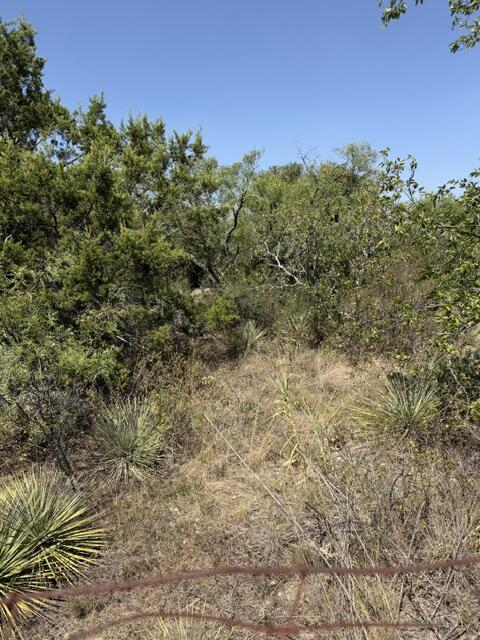 4-6 North Walnut Brady TX 76825