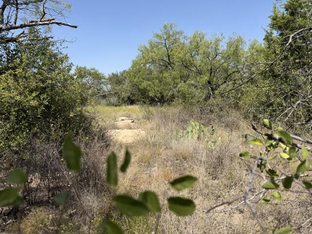 4-6 North Walnut Brady TX 76825
