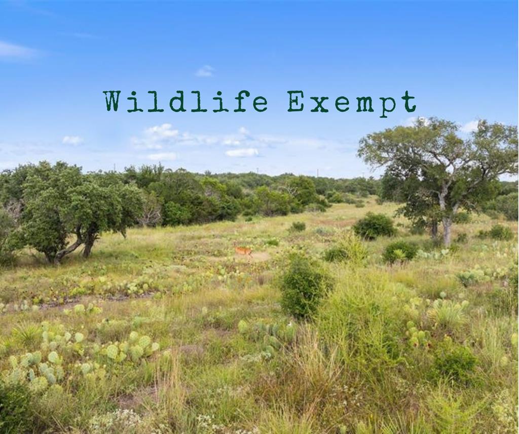 Lot 40 W Ranch Road 962 Round Mountain TX 78663