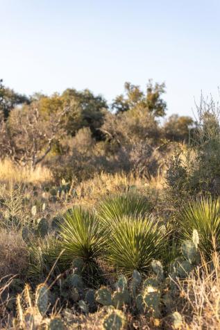 Lot 40 W Ranch Road 962 Round Mountain TX 78663