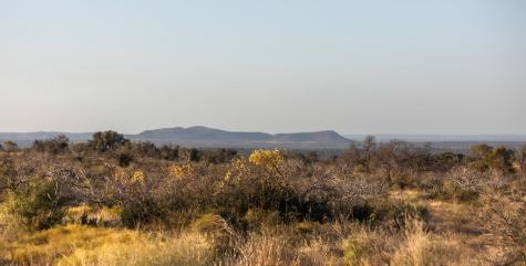 Lot 40 W Ranch Road 962 Round Mountain TX 78663
