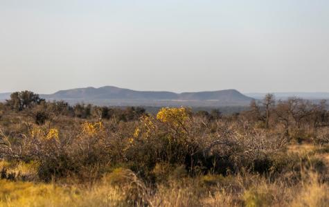 Lot 40 W Ranch Road 962 Round Mountain TX 78663