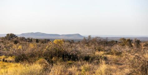 Lot 40 W Ranch Road 962 Round Mountain TX 78663