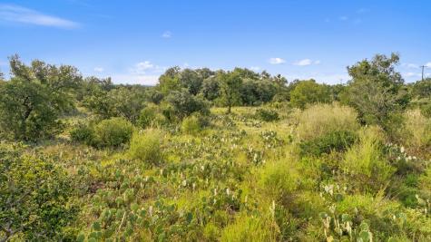 Lot 40 W Ranch Road 962 Round Mountain TX 78663