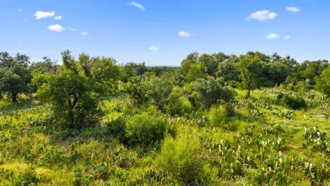 Lot 40 W Ranch Road 962 Round Mountain TX 78663