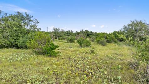Lot 40 W Ranch Road 962 Round Mountain TX 78663