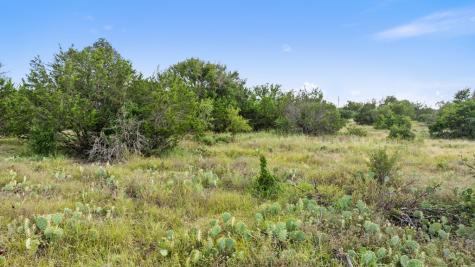 Lot 40 W Ranch Road 962 Round Mountain TX 78663