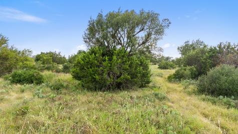 Lot 40 W Ranch Road 962 Round Mountain TX 78663