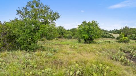 Lot 40 W Ranch Road 962 Round Mountain TX 78663