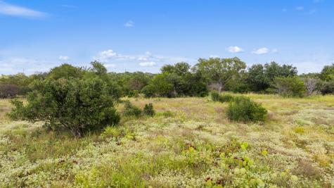 Lot 40 W Ranch Road 962 Round Mountain TX 78663