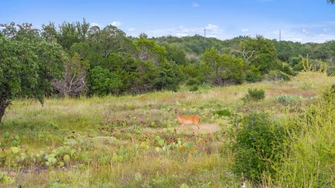Lot 40 W Ranch Road 962 Round Mountain TX 78663
