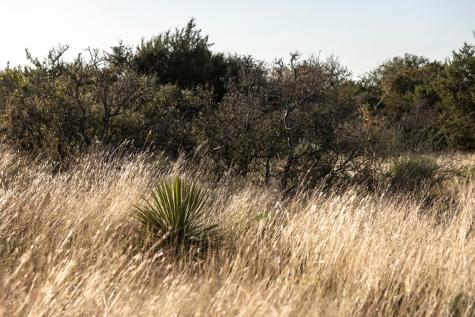 Lot 40 W Ranch Road 962 Round Mountain TX 78663