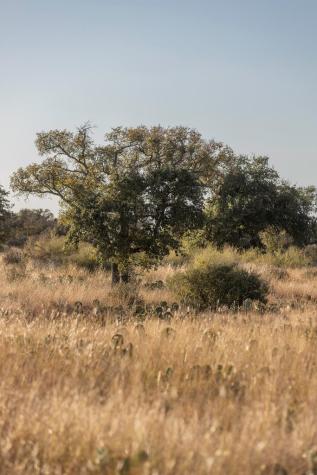 Lot 40 W Ranch Road 962 Round Mountain TX 78663
