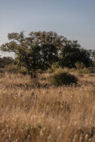 Lot 40 W Ranch Road 962 Round Mountain TX 78663