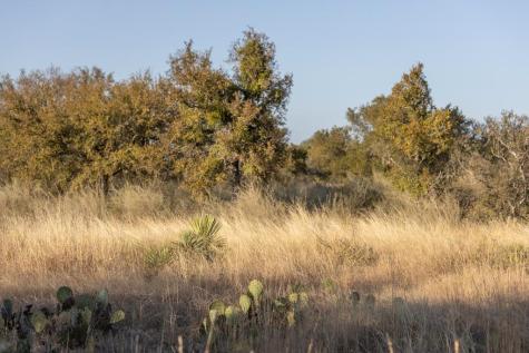 Lot 40 W Ranch Road 962 Round Mountain TX 78663