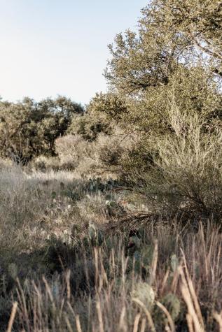Lot 40 W Ranch Road 962 Round Mountain TX 78663