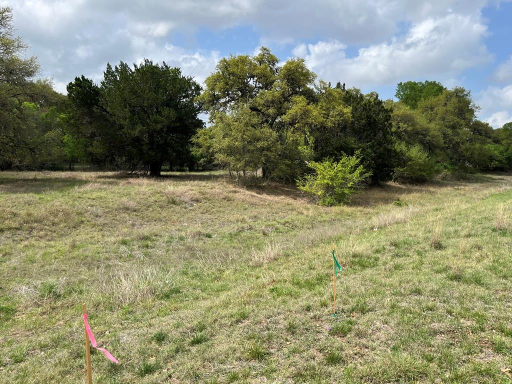 917 Lazy Creek Lane Blanco TX 78606