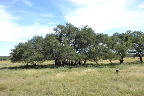 1152 Duderstadt Road Harper TX 78631