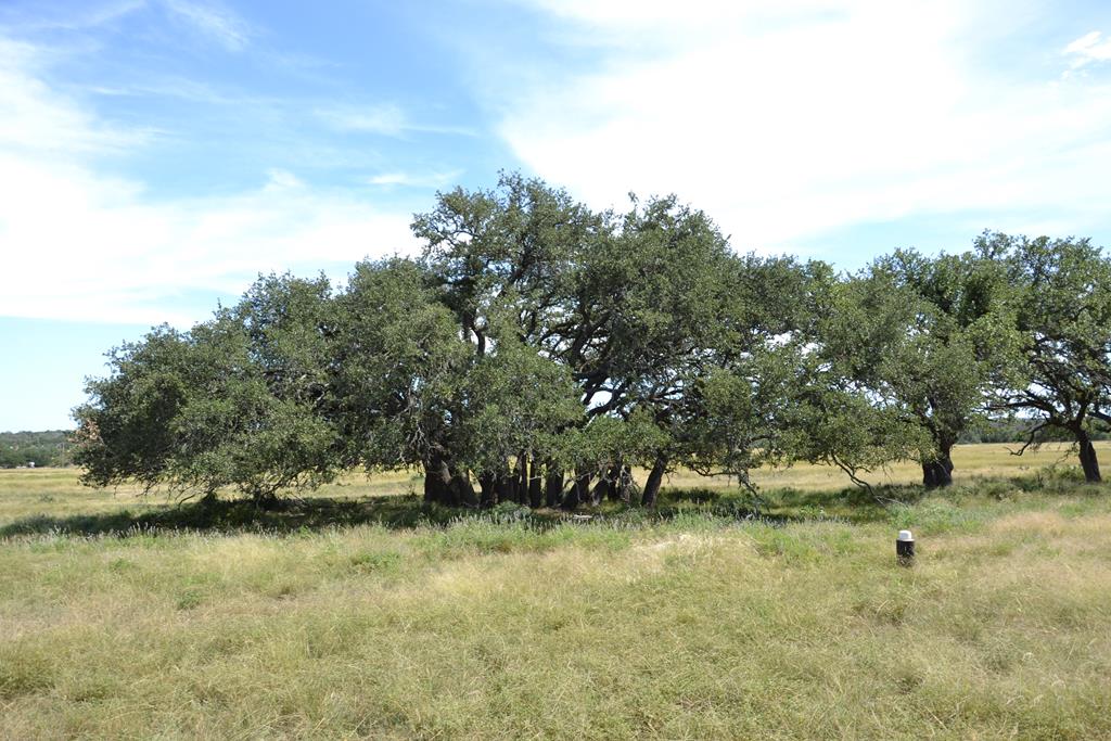 1152 Duderstadt Road Harper TX 78631