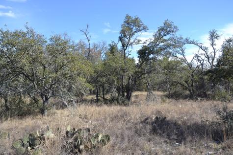 1152 Duderstadt Road Harper TX 78631