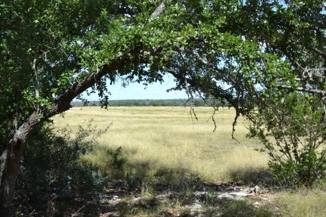 1152 Duderstadt Road Harper TX 78631