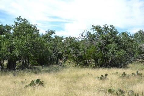 1152 Duderstadt Road Harper TX 78631
