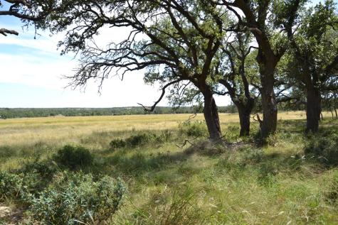 1152 Duderstadt Road Harper TX 78631