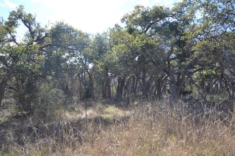 1152 Duderstadt Road Harper TX 78631