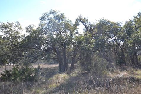 1152 Duderstadt Road Harper TX 78631