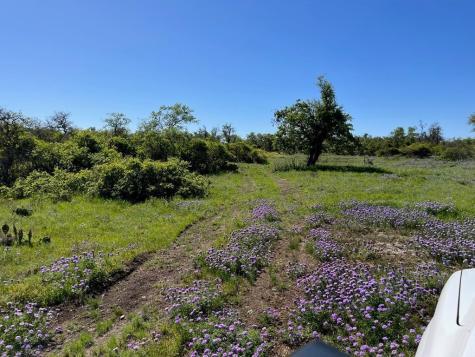 Lot 14 Sweet Wind Lane Harper TX 78631