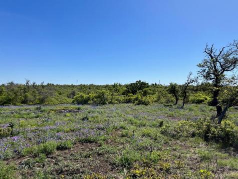 Lot 14 Sweet Wind Lane Harper TX 78631