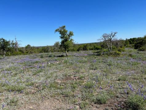 Lot 14 Sweet Wind Lane Harper TX 78631