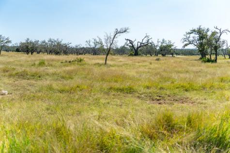 Lot 100 Packsaddle Drive Harper TX 78631