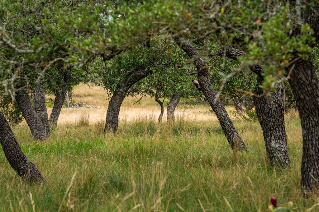 Lot 33 Nott Branch Road Harper TX 78631