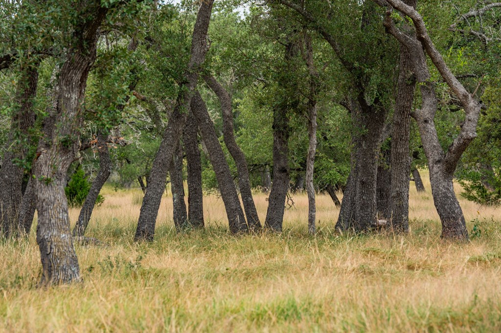Lot 33 Nott Branch Road Harper TX 78631