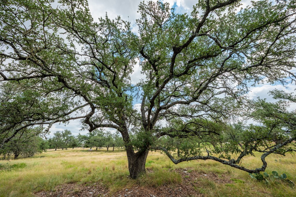 Lot 33 Nott Branch Road Harper TX 78631