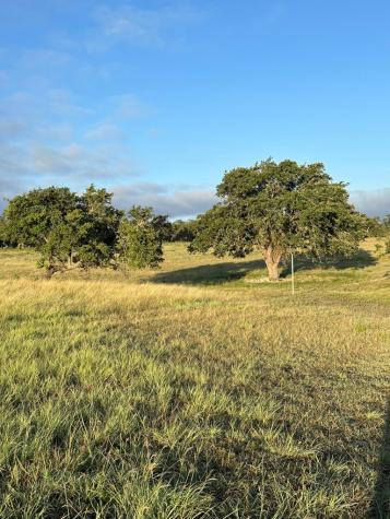 171 Flowering Sage Lane Fredericksburg TX 78624
