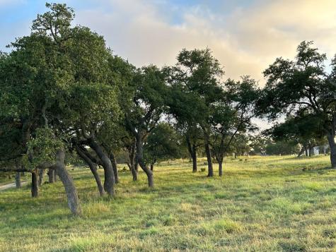 171 Flowering Sage Lane Fredericksburg TX 78624