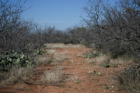 120 County Road 306 Lohn TX 76852