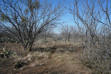 120 County Road 306 Lohn TX 76852