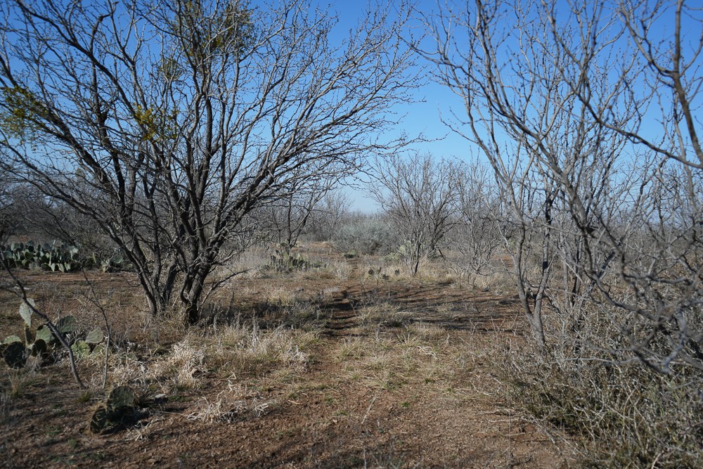 120 County Road 306 Lohn TX 76852